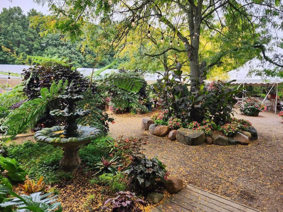 Everlastings in the Wildwood, Owosso (19 min)